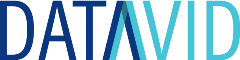 Datavid